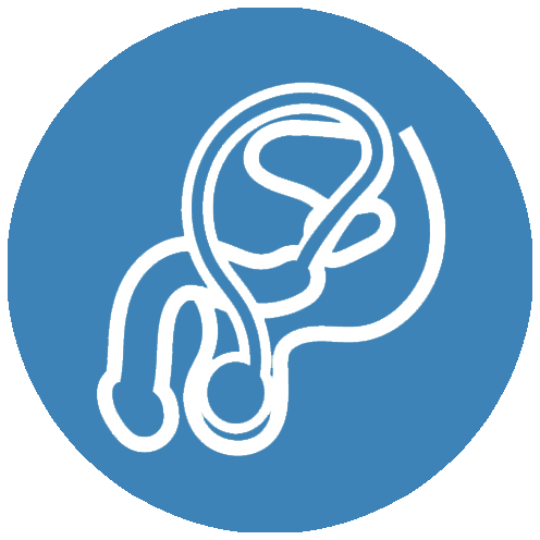 icona urologia