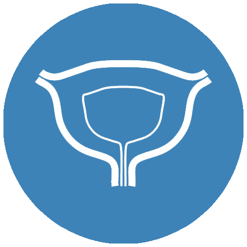icona urologia