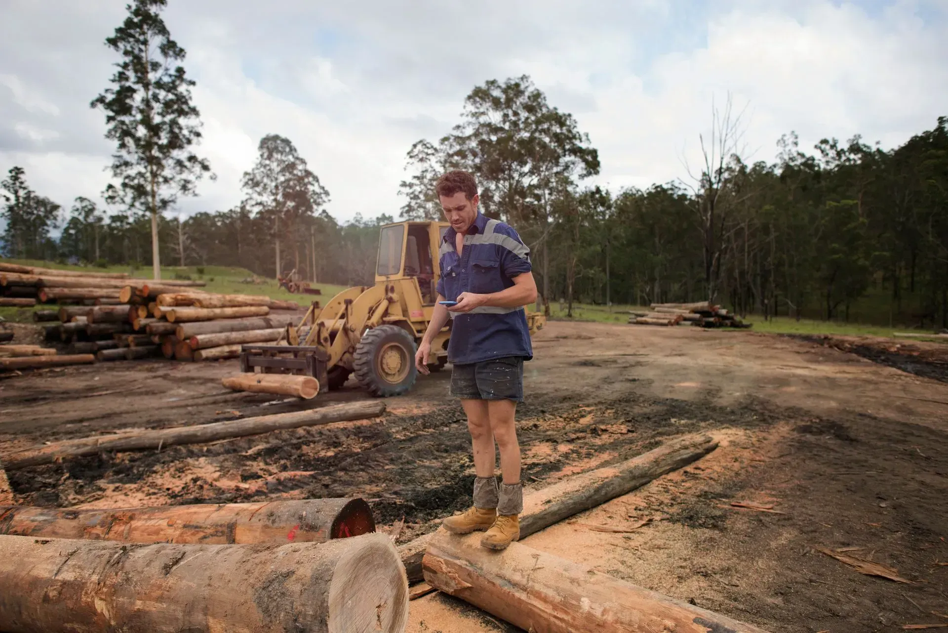 About Us | Shane & Catherine's Tree Service