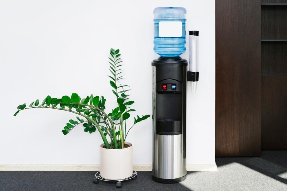 A Water Cooler with A Plant in A Pot Next to It — Cool Blue Ice & Water in Parkes, NSW
