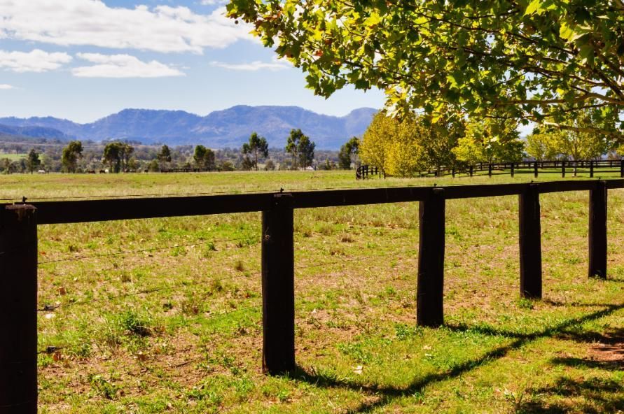 A Wooden Fence Surrounds a Grassy Field with Mountains — Cool Blue Ice & Water in Murrurundi, NSW
