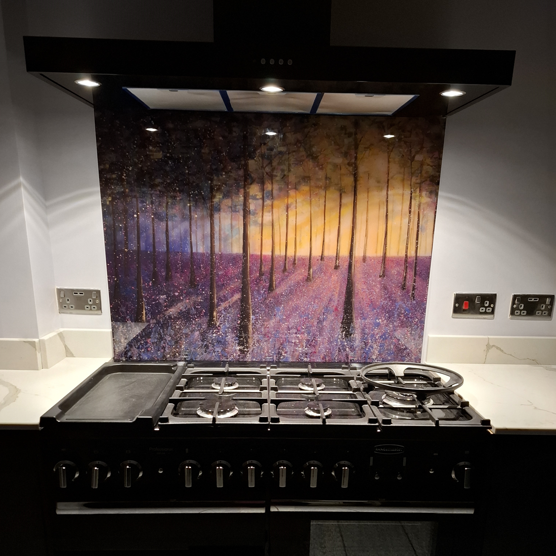 cooker splashback with woods image