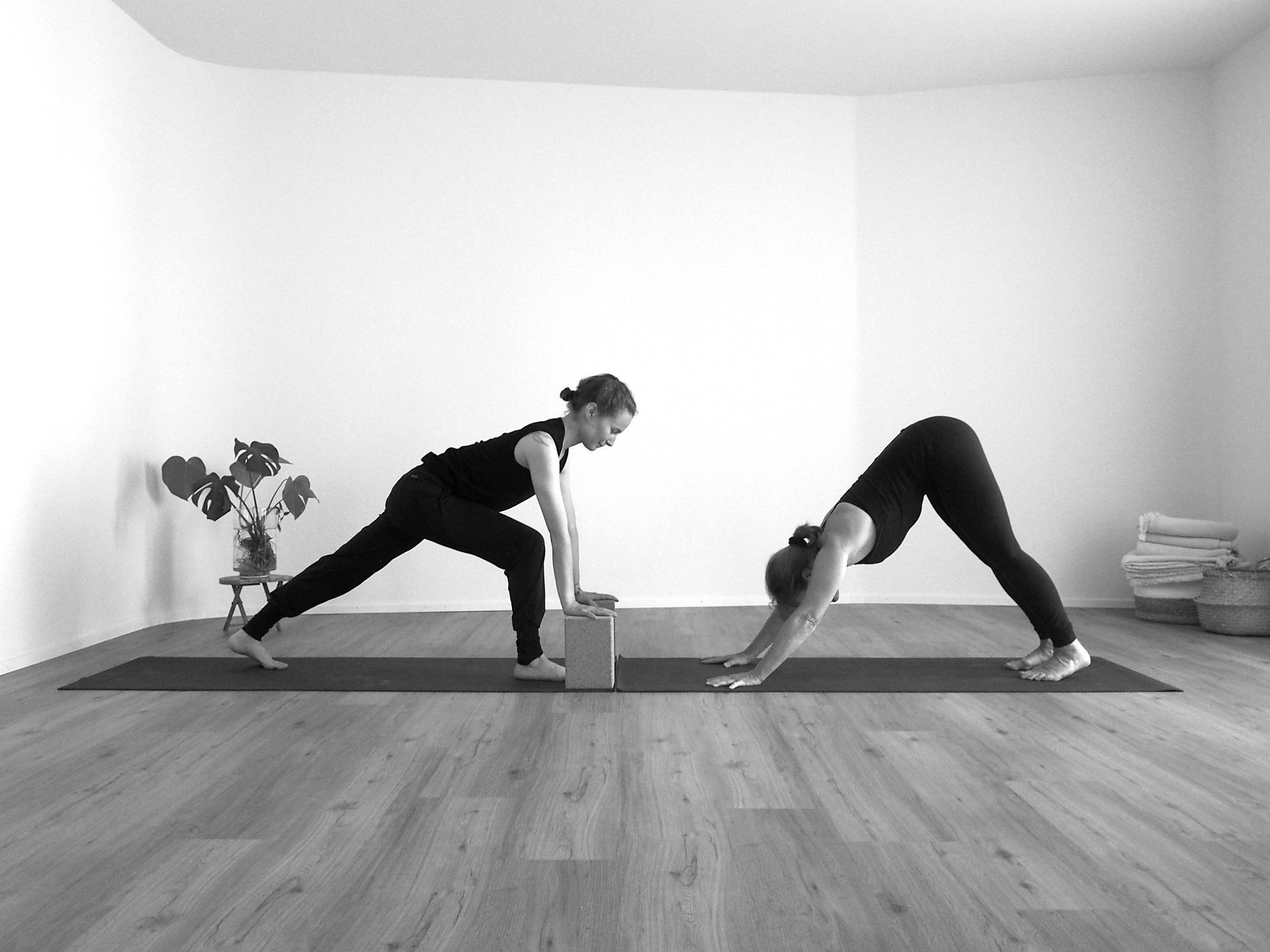 Crescent Lunge, Downward Facing Dog