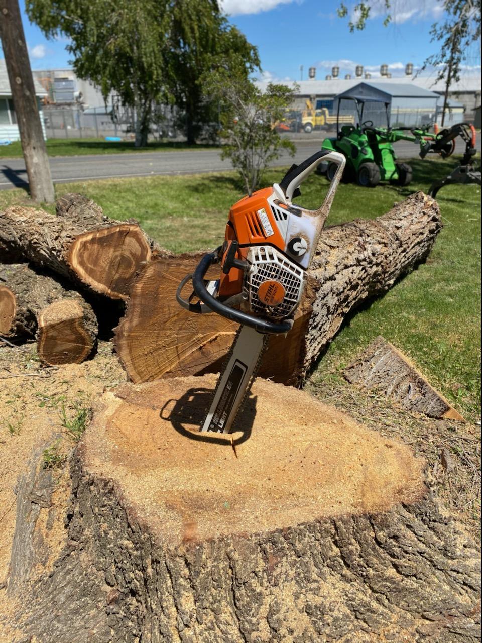 A Chainsaw In The Cutted Trees | Naches, WA | Trickinnex Tree Trimming & Falling LLC