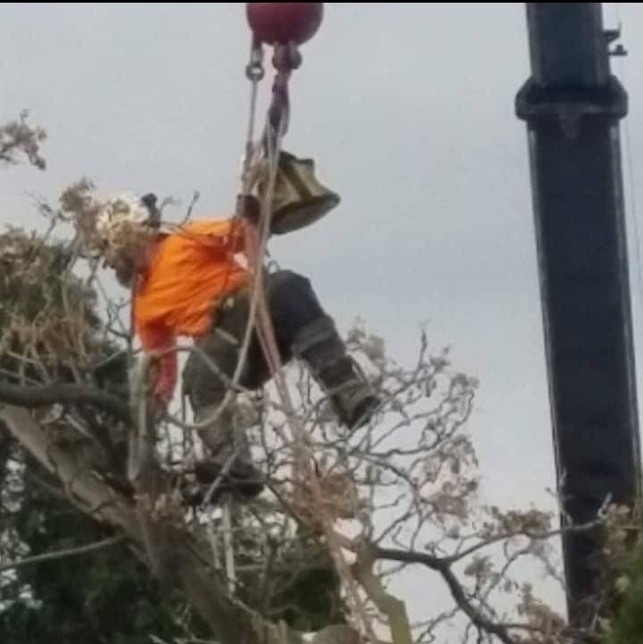 A Man Cutting Branches Of Tree | Naches, WA | Trickinnex Tree Trimming & Falling LLC