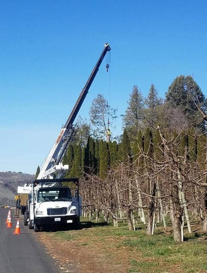 White Tree Trimming Truck | Naches, WA | Trickinnex Tree Trimming & Falling LLC