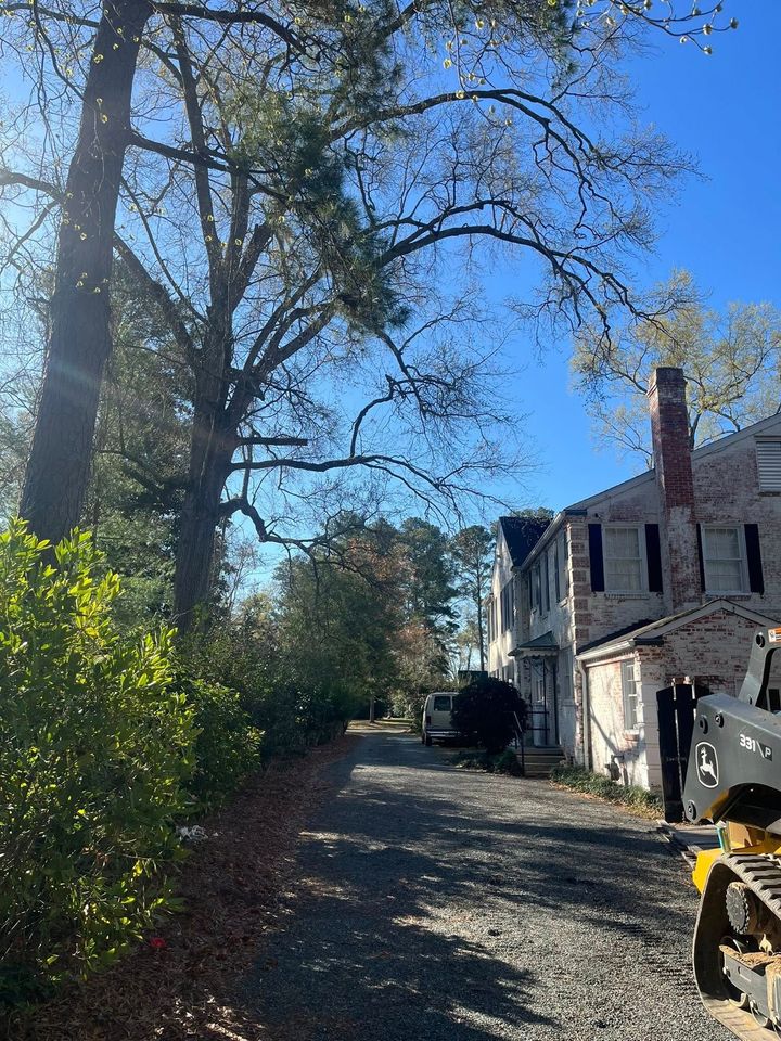 Sunlit gravel driveway beside tall trees and an old white house with a red chimney under a blue sky