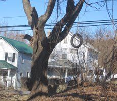Hazard - Tree Trimming in Eynon, PA