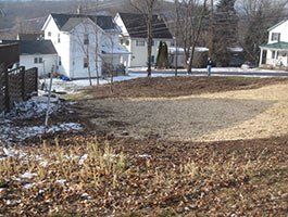 Land Clearing - Land Clearing in Eynon, PA
