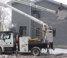 Tree_removal - Tree Trimming in Eynon, PA