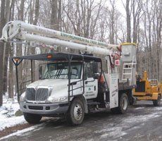 Trucks - Tree Trimming in Eynon, PA