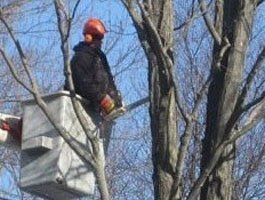 Bucket_Truck - Tree Trimming in Eynon, PA