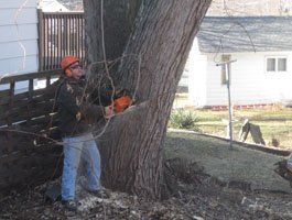 Man using a Chainsaw - Tree Removal in Eynon, PA