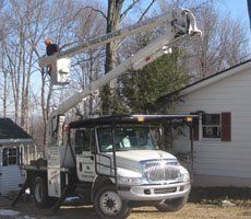 Crane - Tree Trimming in Eynon, PA