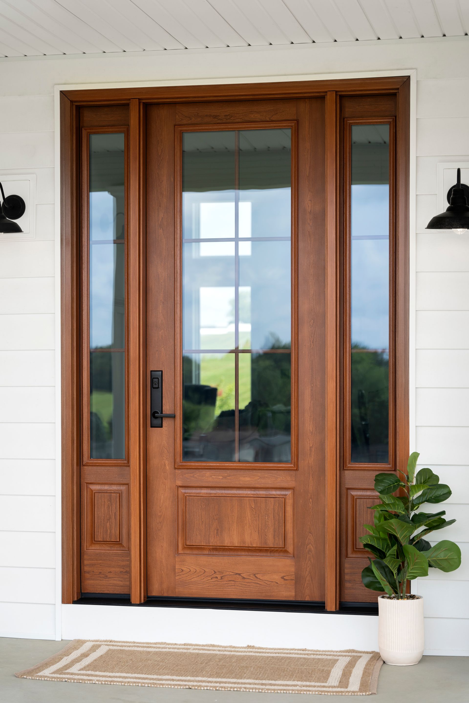 A wooden door with a plant in front of it on a porch.