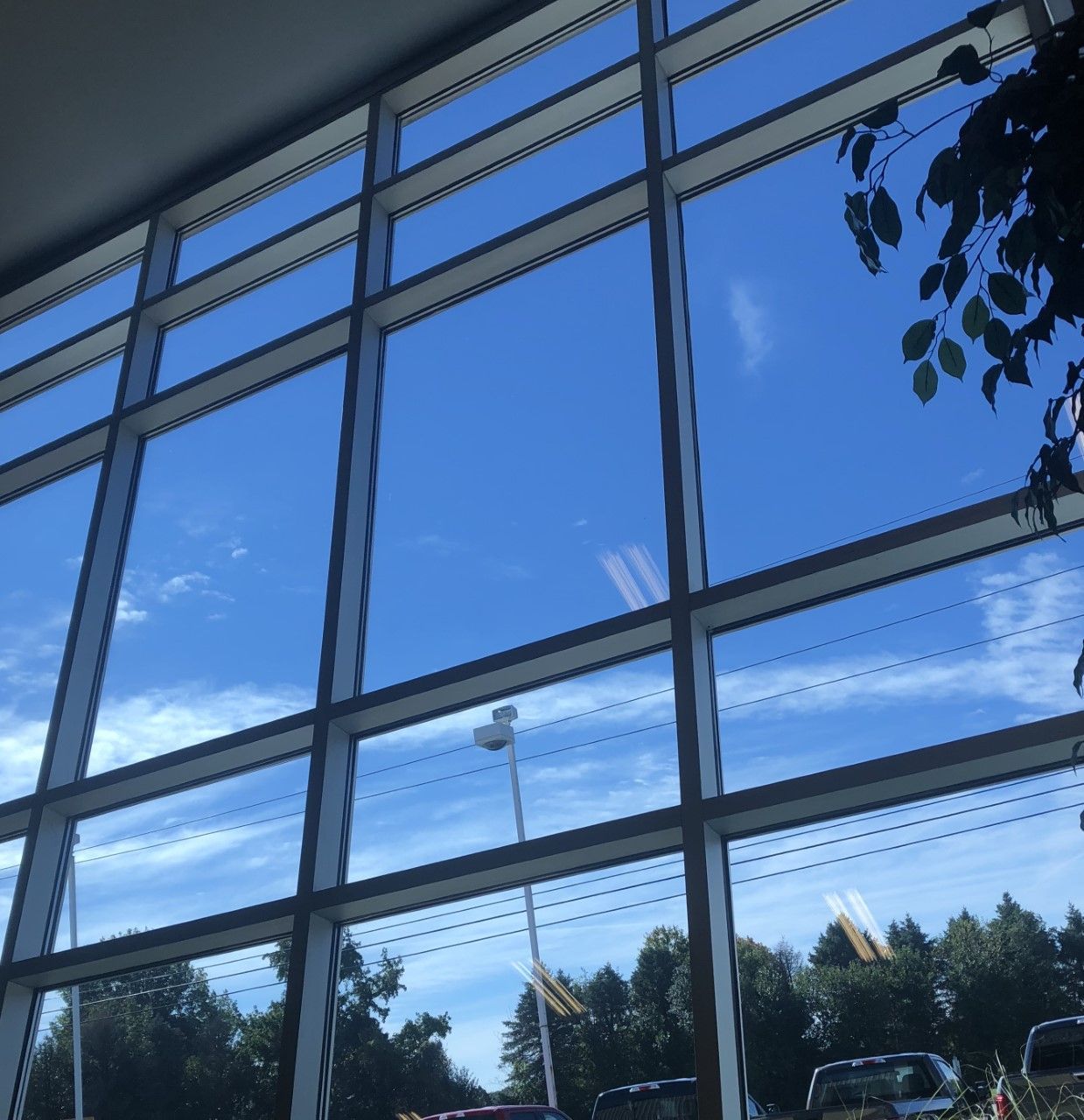 A blue sky is reflected in the windows of a building