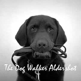 The Dog Walker Aldershot