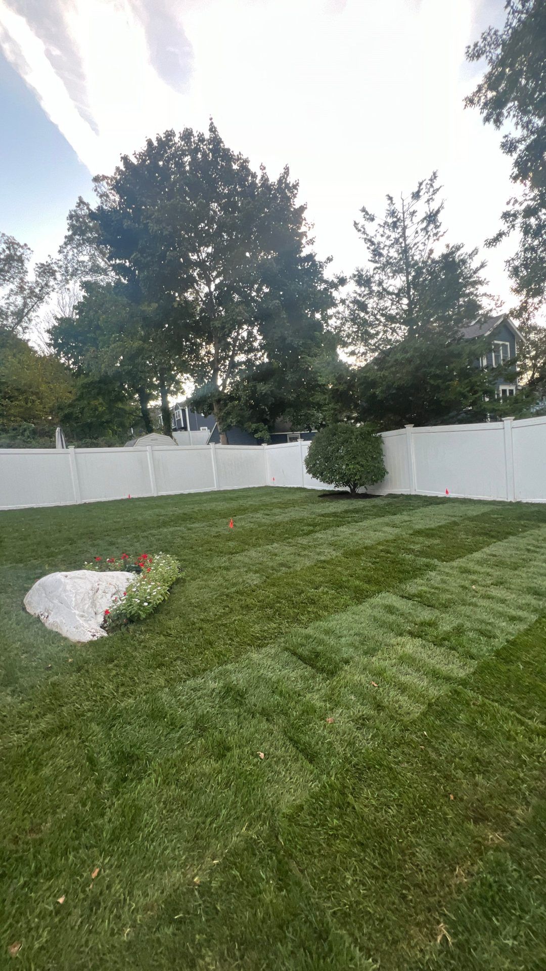 Lawn with freshly cut stripes; white fence and trees in background. A large rock and small flowerbed are visible.