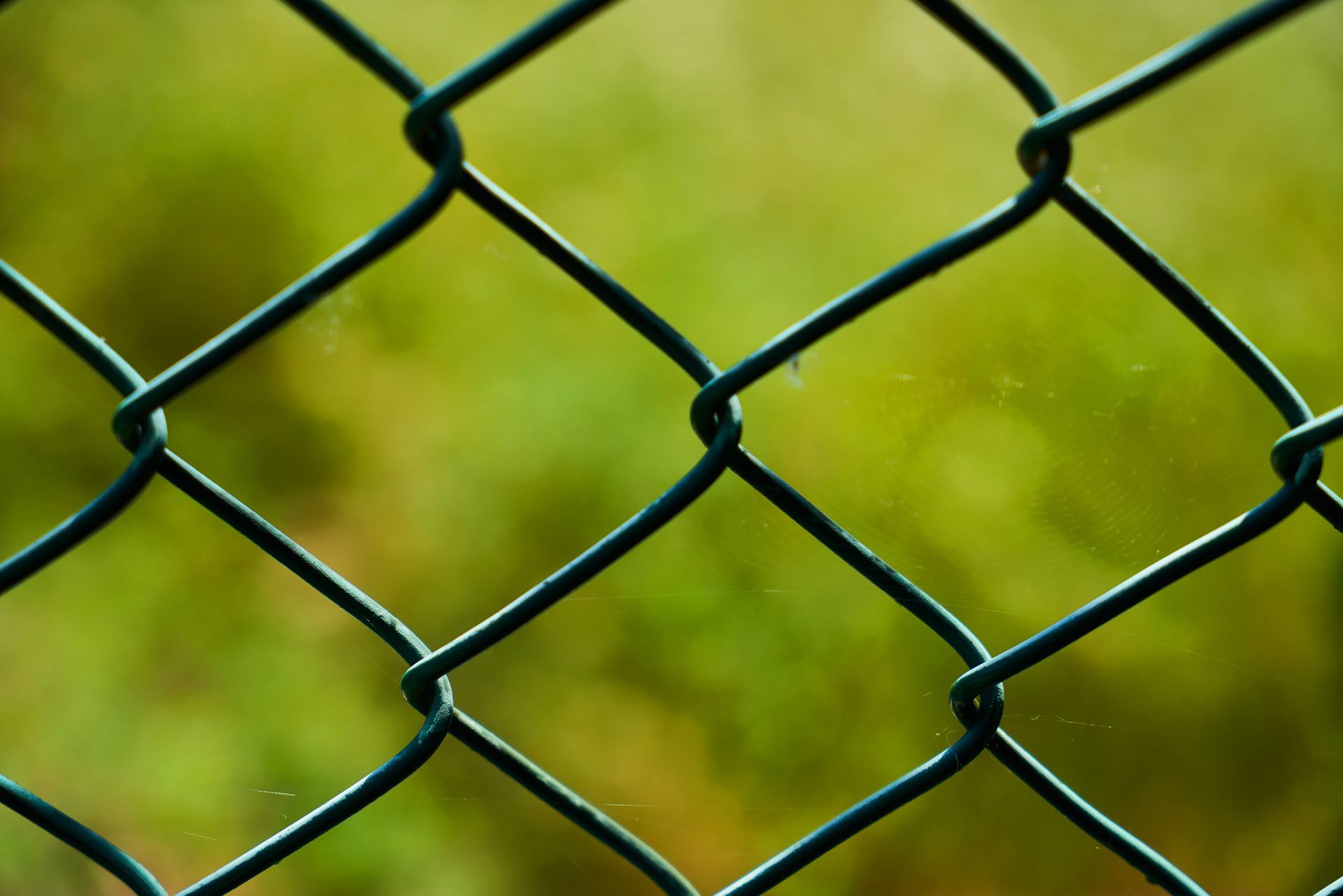 A close up of a chain link fence with a green background
