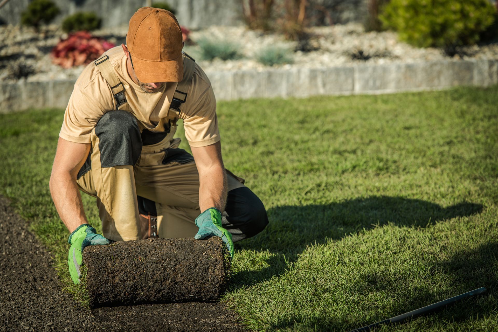A man is kneeling down and rolling a roll of turf on a lawn.