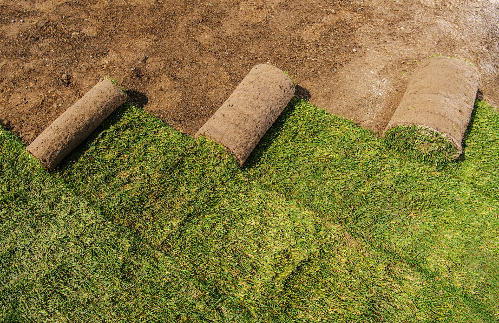 Three rolls of turf are sitting on top of a lush green field.