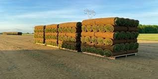 Stacks of rolled sod on pallets in a field, ready for installation.
