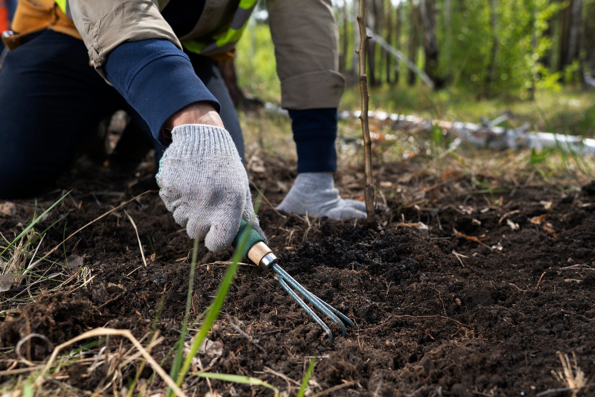 A person is installing mulch