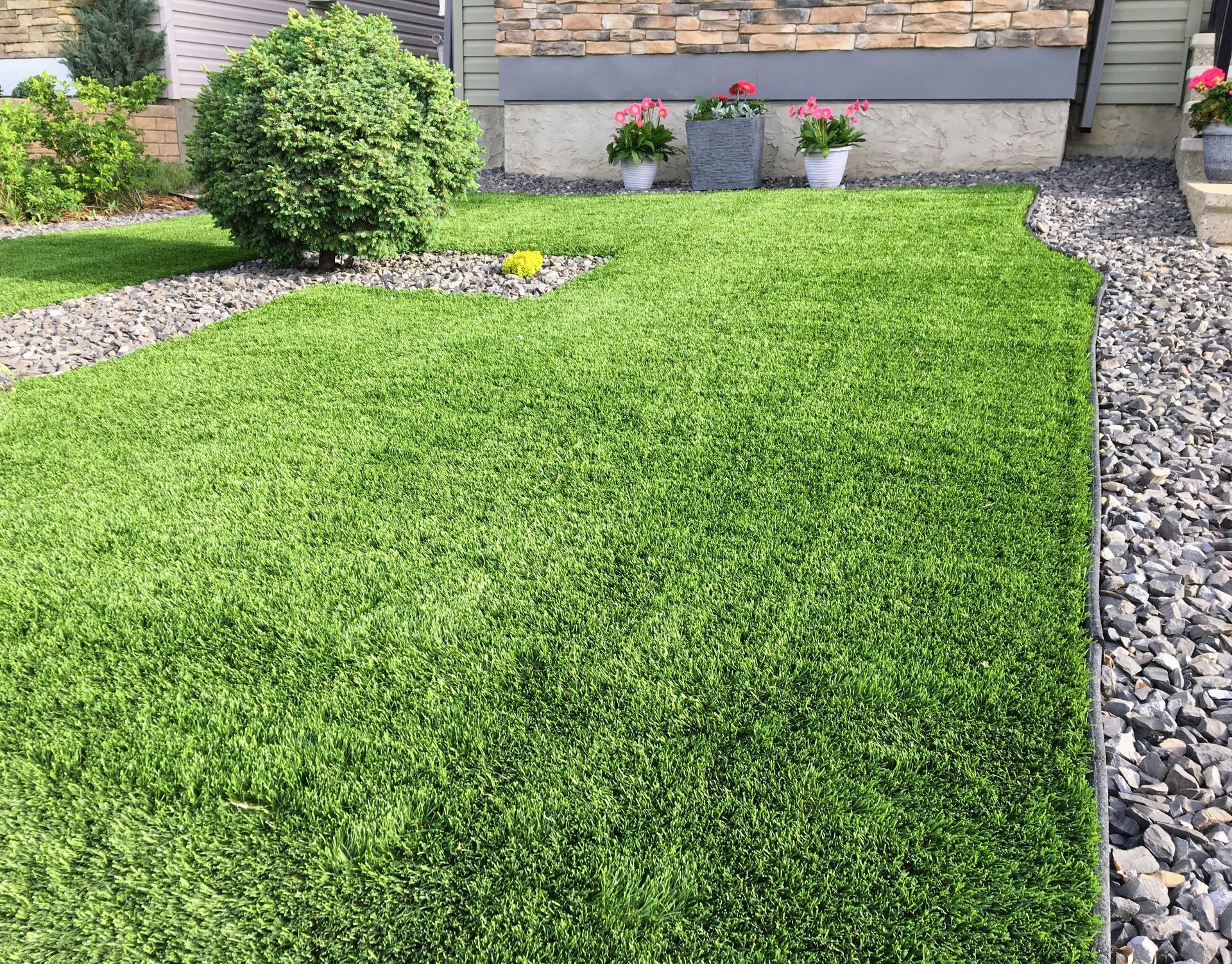 Green lawn with decorative gravel borders, shrub, and flowers in pots.