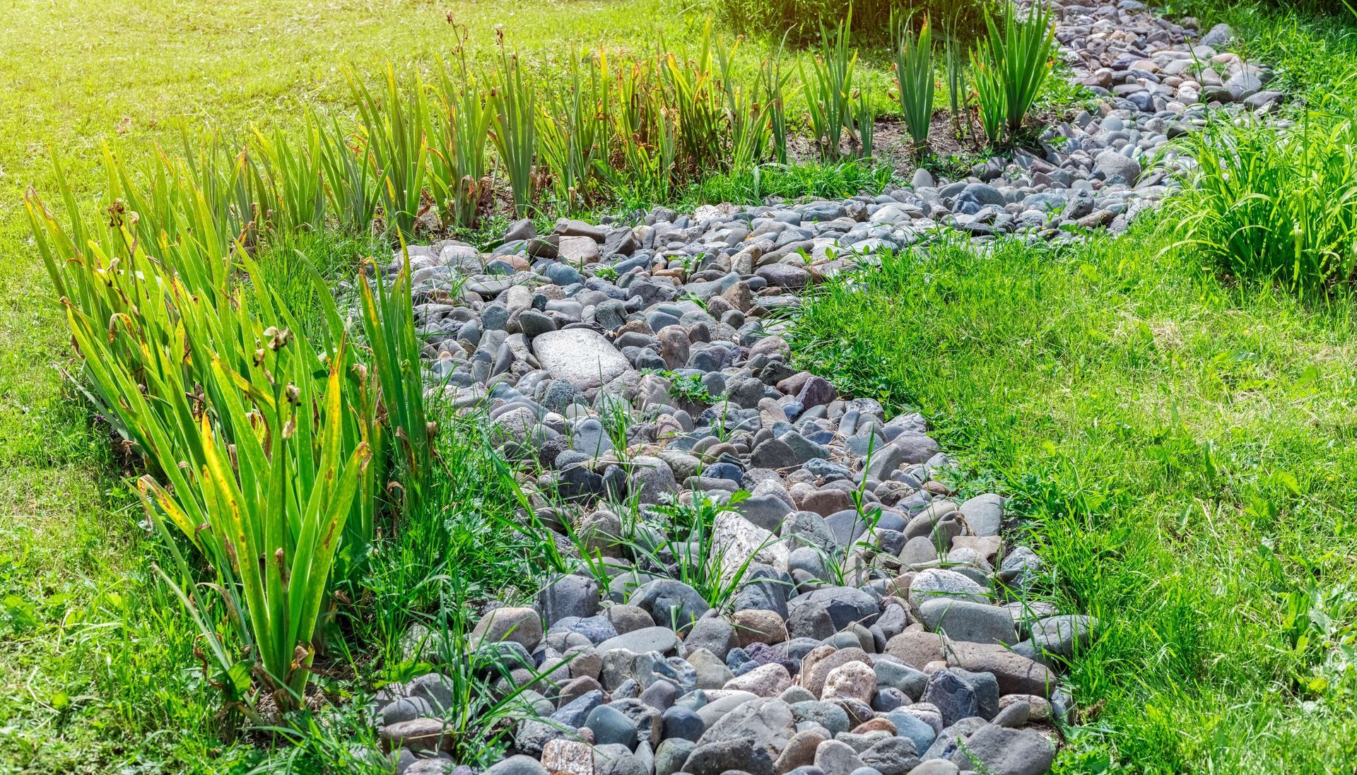 A stream running through a lush green field of grass and rocks.