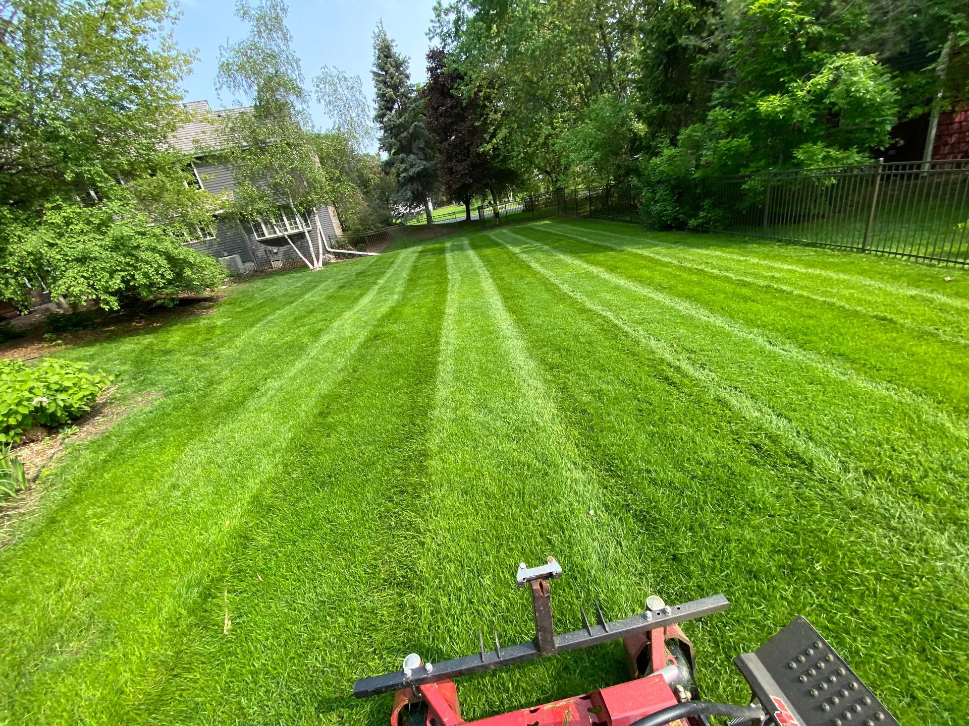 Lawn mower cutting grass in a yard, creating striped pattern; green grass, blue sky, trees.