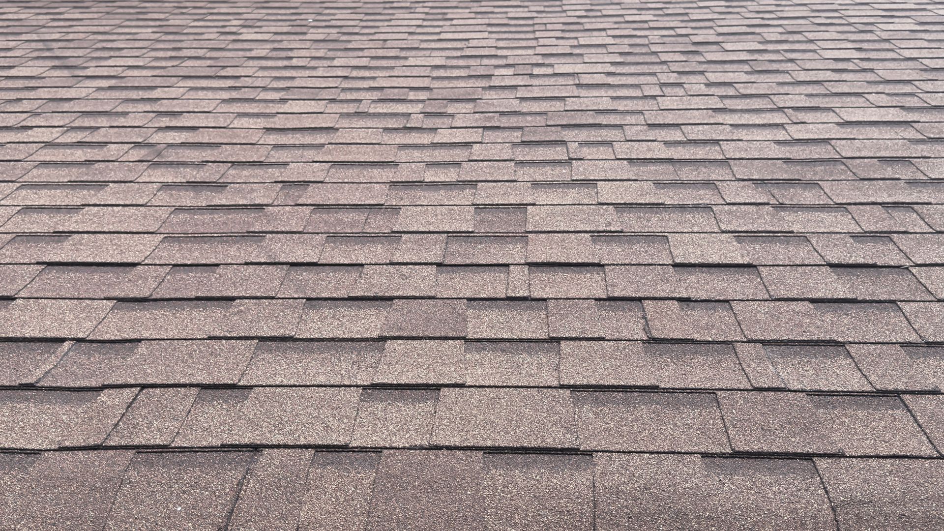 Close-up view of brown asphalt shingle roof.