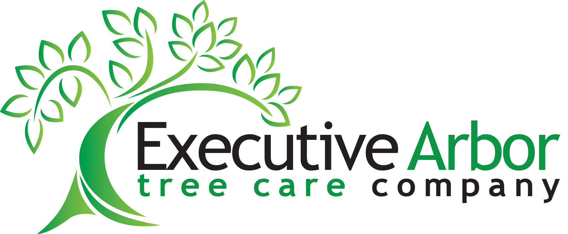 Executive Arbor Tree Care Johns Creek