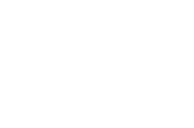 High Funeral Home Logo