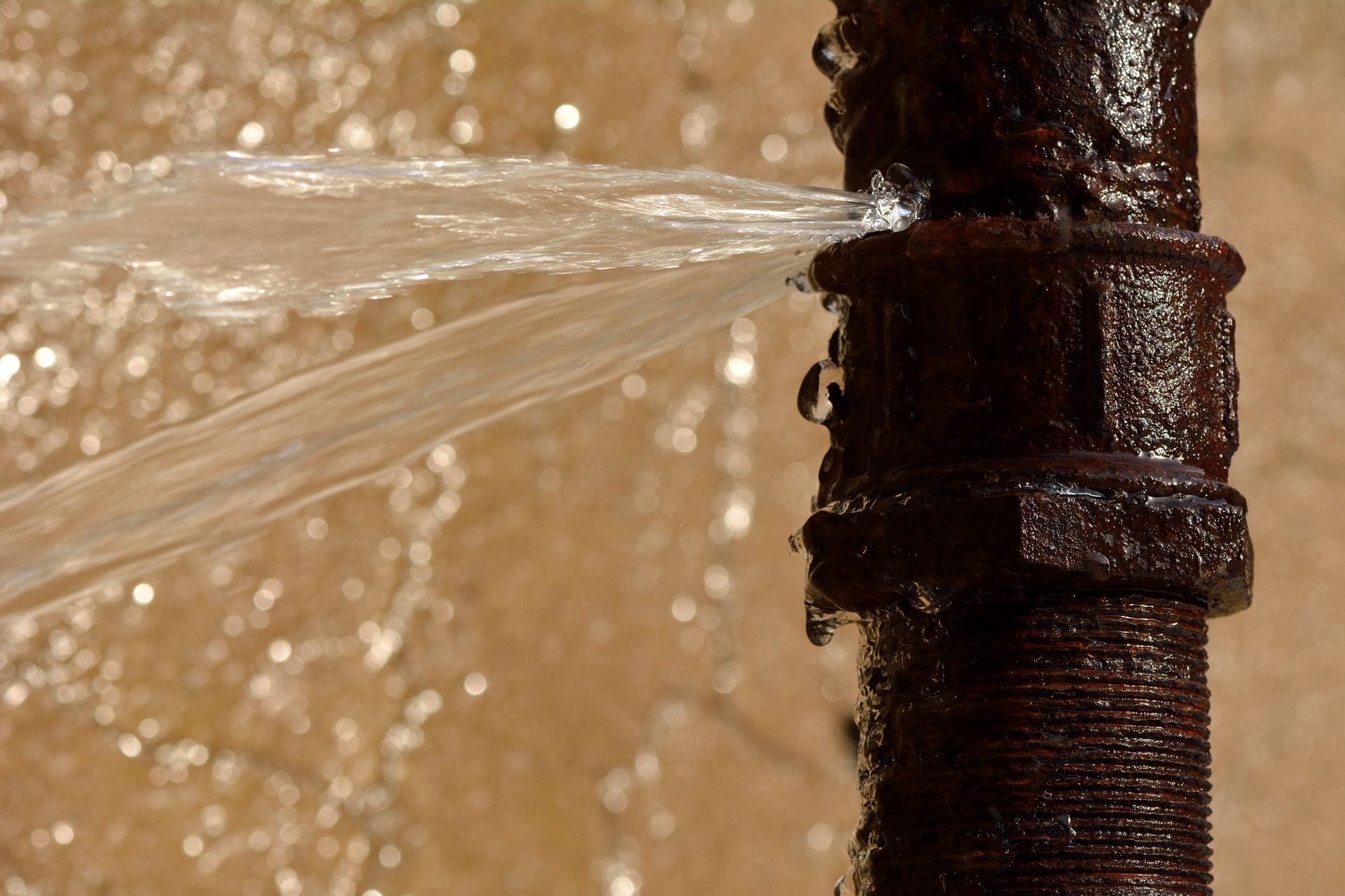 A hand holds and uses the backflow shutoff valve of a plumbing system.
