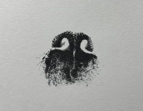 Ink Nose Print Cameron Pet Crematory
