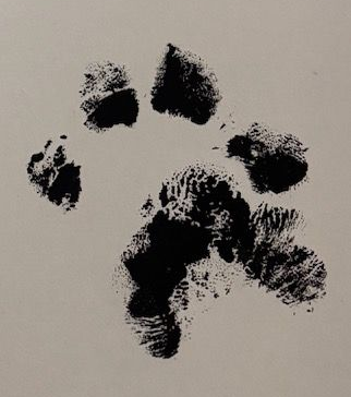 Ink Paw Print Cameron Pet Crematory