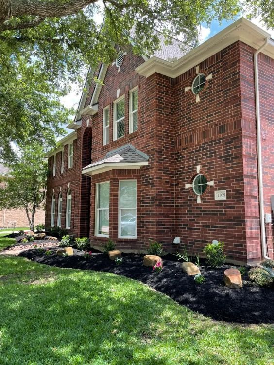 Professional Tree and Lawn Care You Can Rely On