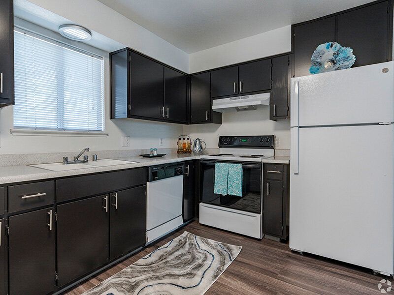 Modern apartment kitchen with black cabinets, white appliances, and a window above the sink.