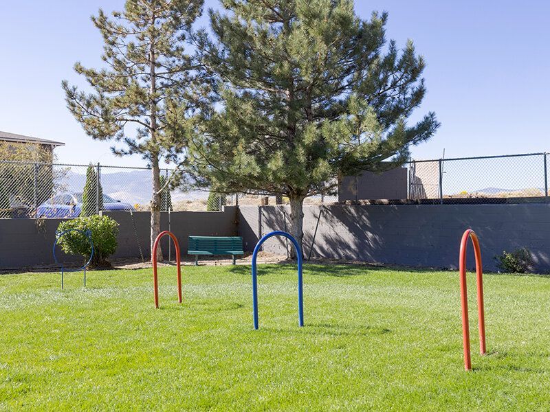 Grassy community courtyard with colorful metal arches and a bench under trees.