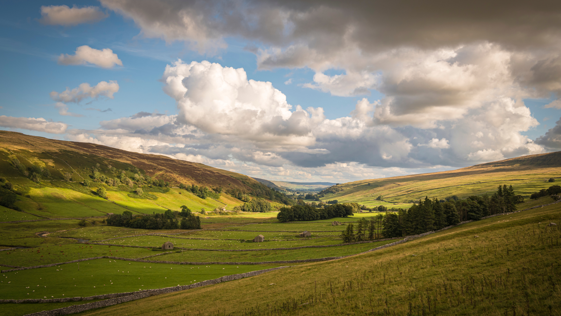 A lush green field with mountains in the background and clouds in the sky.