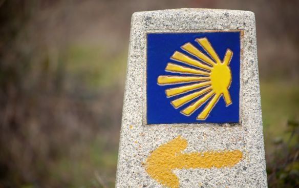 Camino