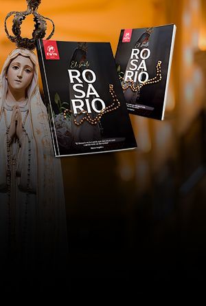 Headers Mobile Rosario 
