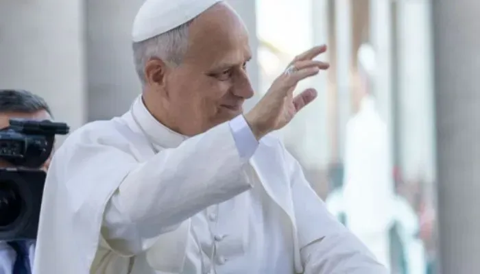 Papa León XIV Libro