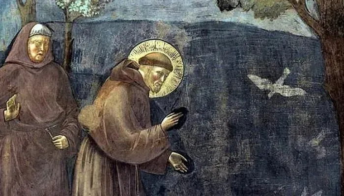 San Francisco Animales