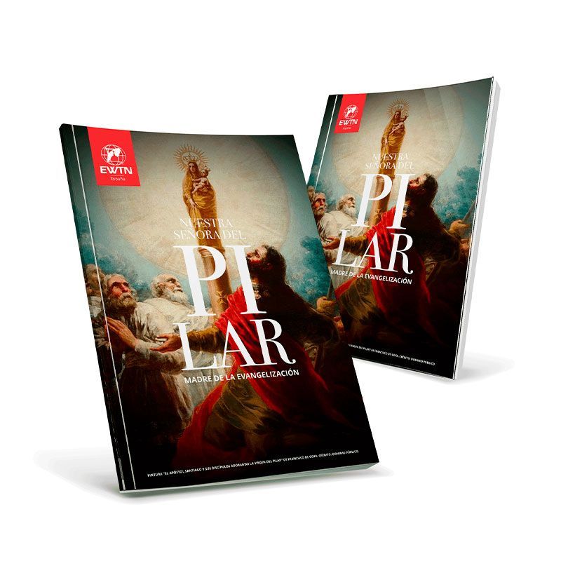 Ebook Virgen del Pilar