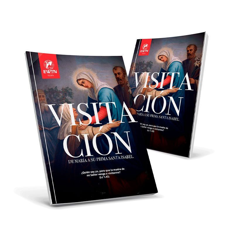 Ebook Visitación