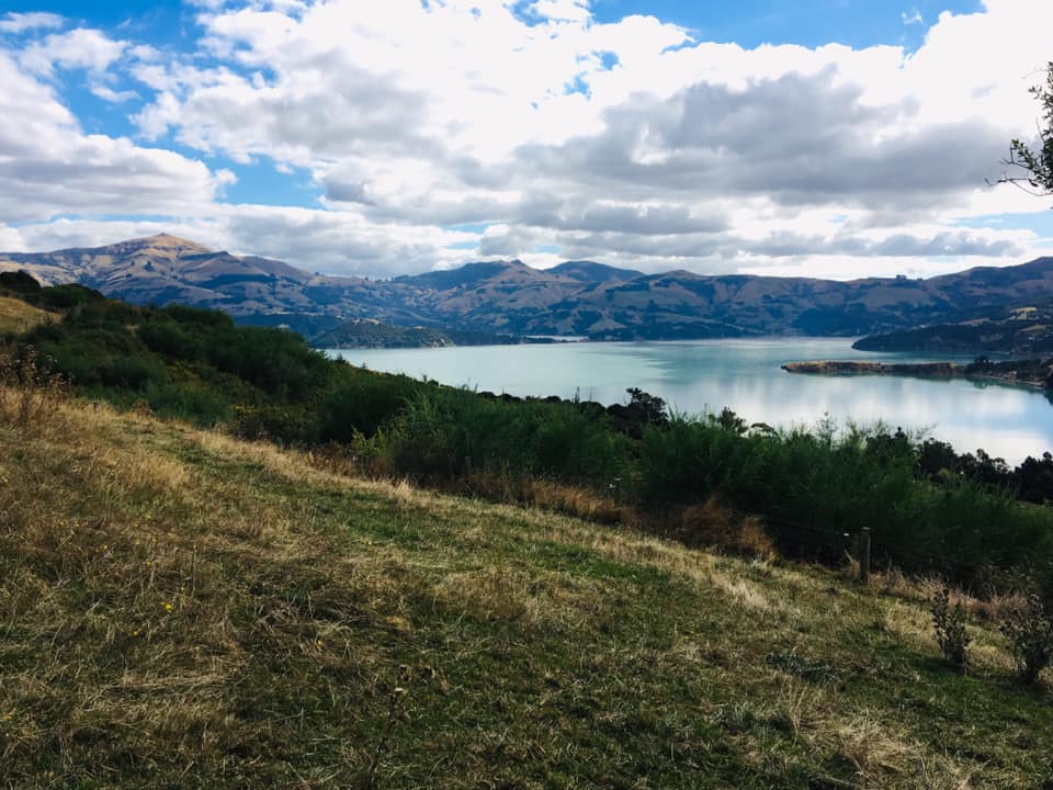 Akaroa, New Zealand scenery
