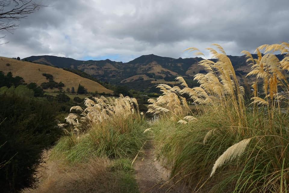 Akaroa, New Zealand