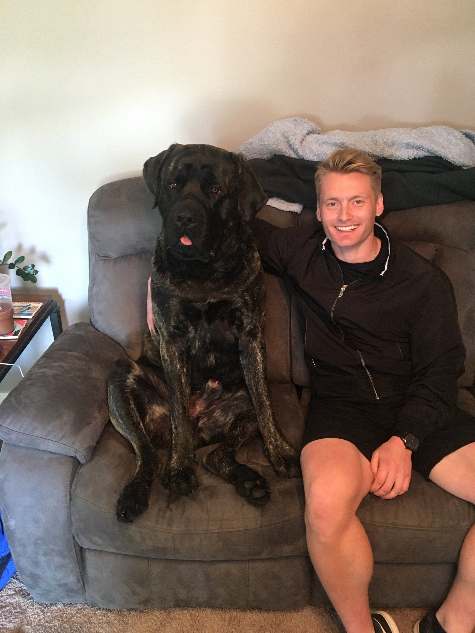 Xandr Clemens in Omaha, Nebraska with Jax the english mastiff