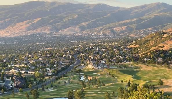 The sun is shining through the branches of a tree overlooking a city.
